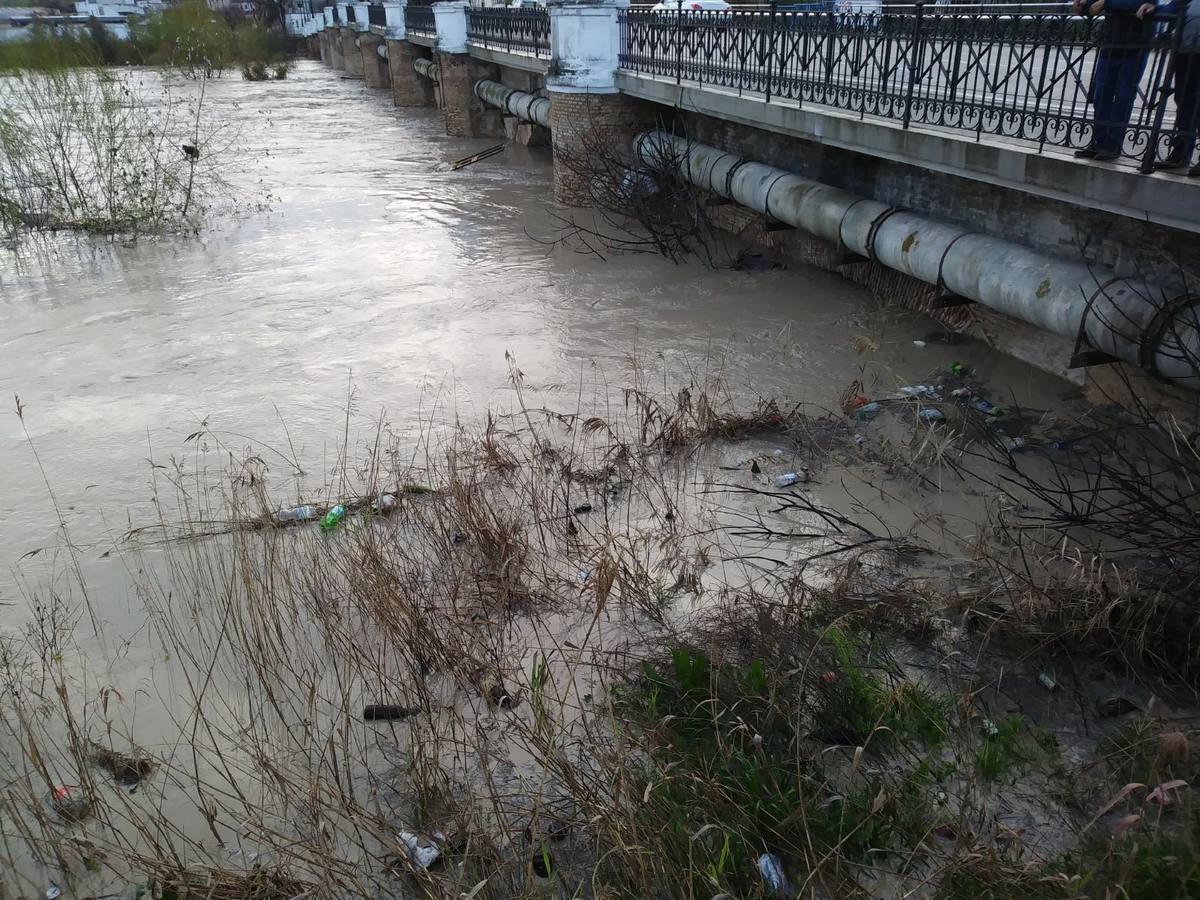 Écija activa el nivel de pre emergencia por la crecida del Genil